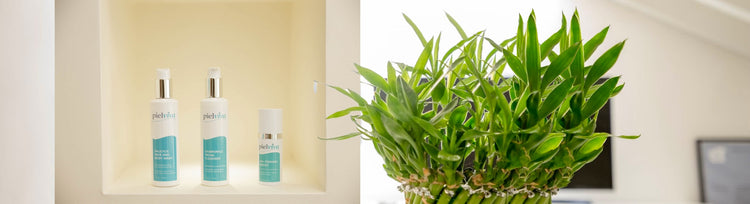 Explore All Products